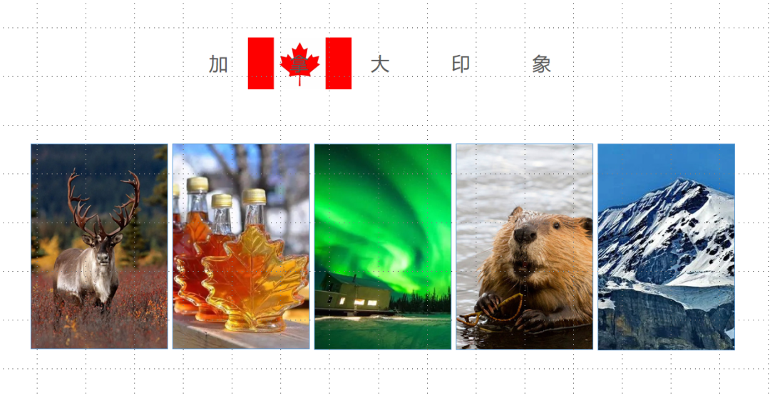 加大拿绘本作家特色简述及大赏